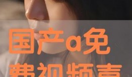 免费国产a,打造高效便捷的数字生活