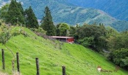 青青草国产线观,青青草的青春旋律与时代印记