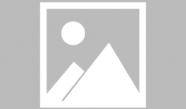 国产在线黄,揭秘国内色情内容产业的现状与挑战