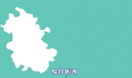 天天操国产,探索国产生态的活力与未来