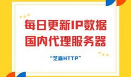每日更新国产,聚焦最新发展动态